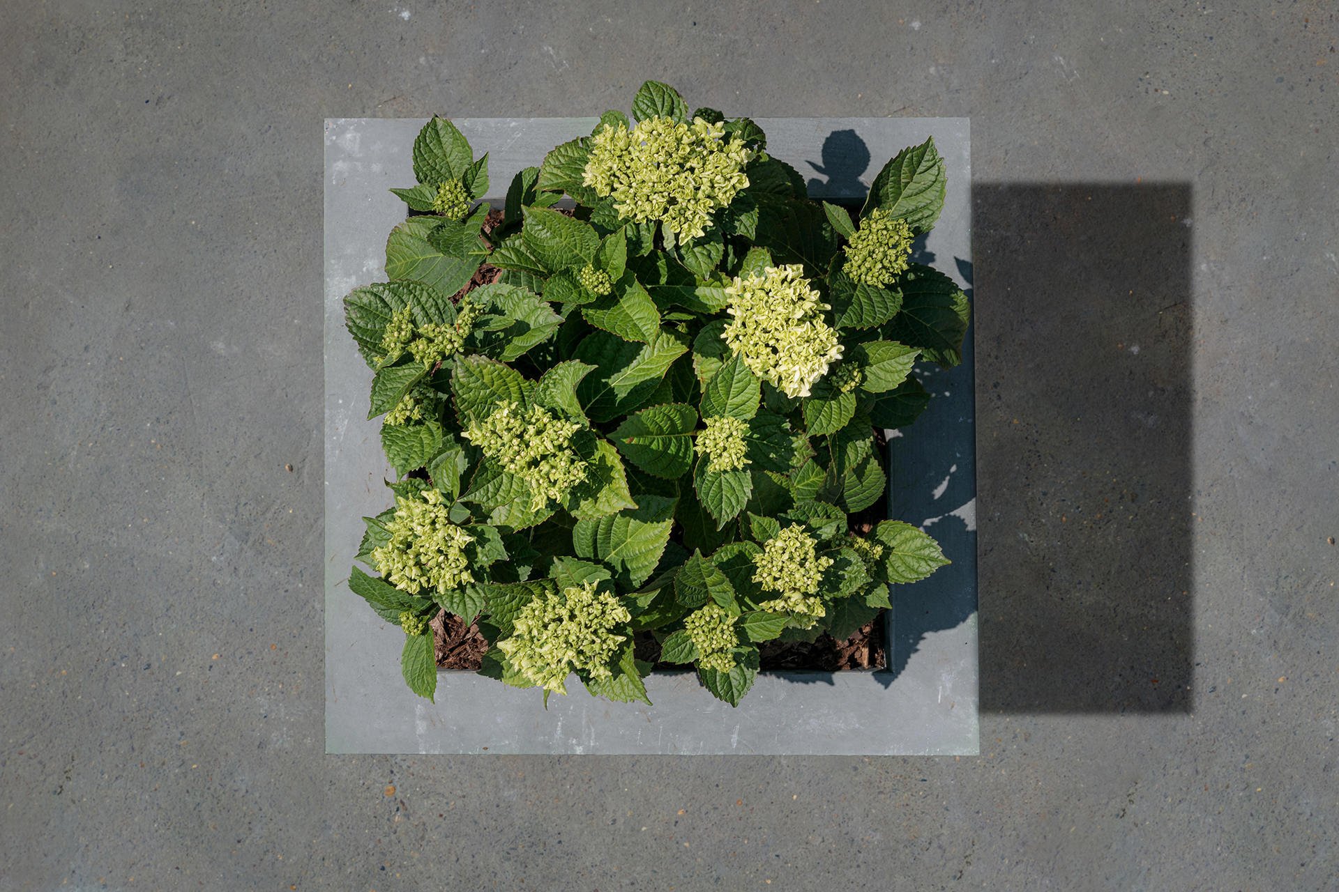 Pflanzbehälter Urbano