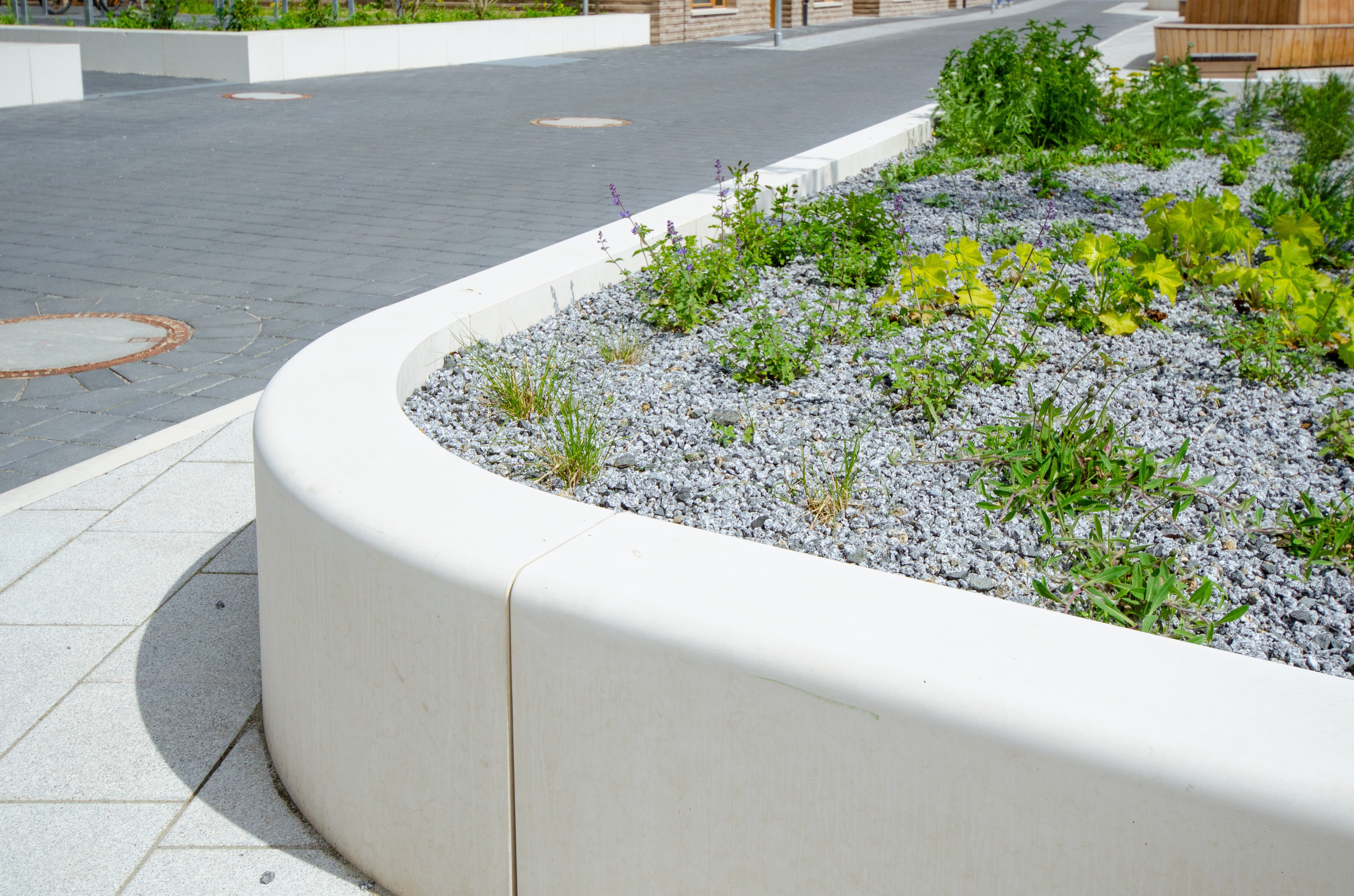 In Beton eingefasstes Pflanzbeet